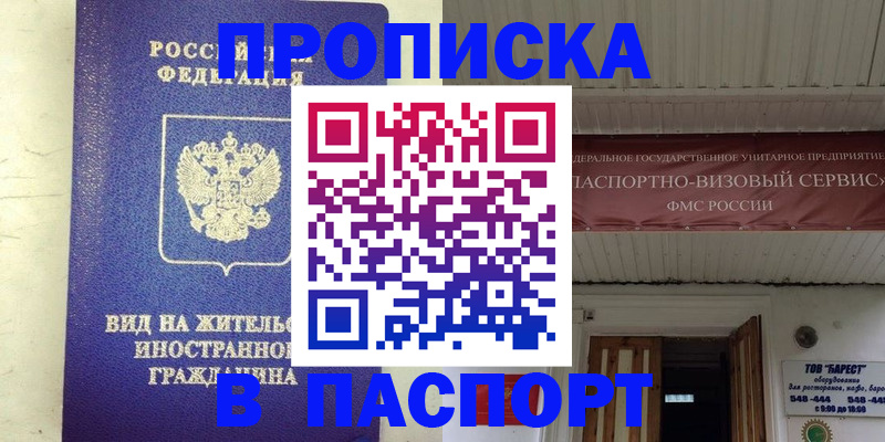 временная регистрация поиск в Алексеевке
